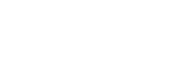 Partner 4