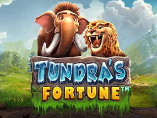 Tundra's Fortune
